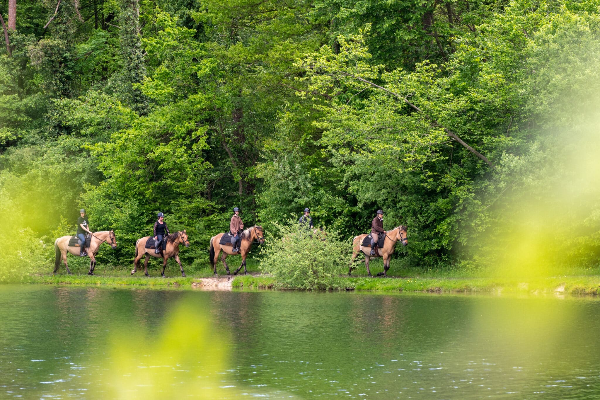 Balade Henson Forêt Compiègne